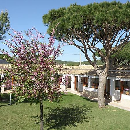Hostal Las Acacias Los Canos De Meca Esterno foto