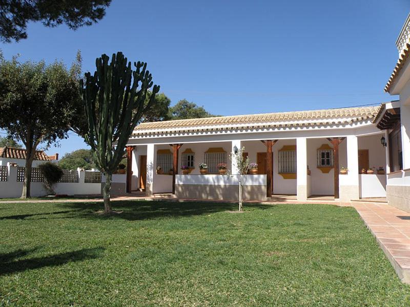 Hostal Las Acacias Los Canos De Meca Esterno foto