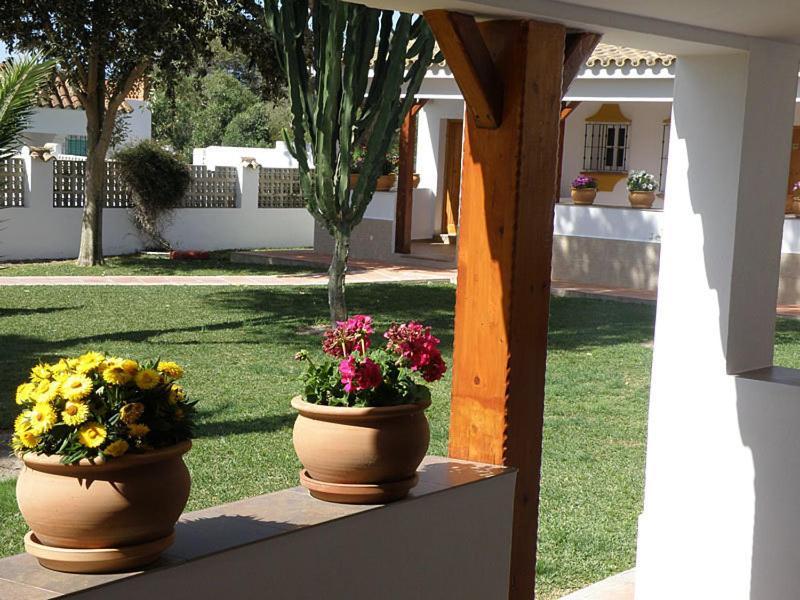Hostal Las Acacias Los Canos De Meca Esterno foto